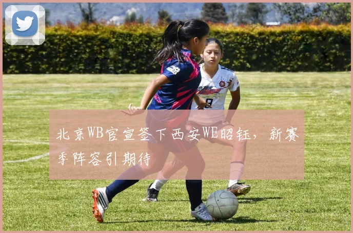北京WB官宣签下西安WE昭钰，新赛季阵容引期待
